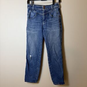 Anthropologie Pilcro Womens Jeans Straight Leg Distressed Blue Color Stretch 25